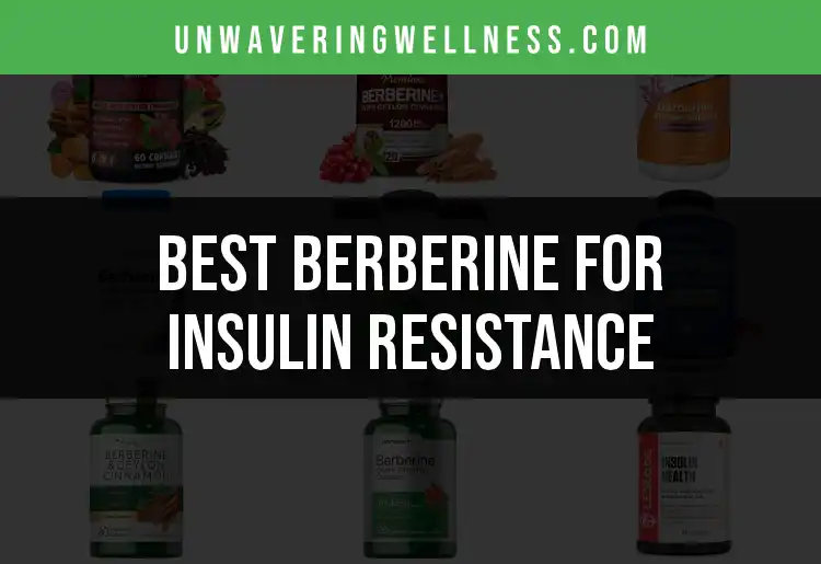14 Top Berberine Supplements for Insulin Resistance featured