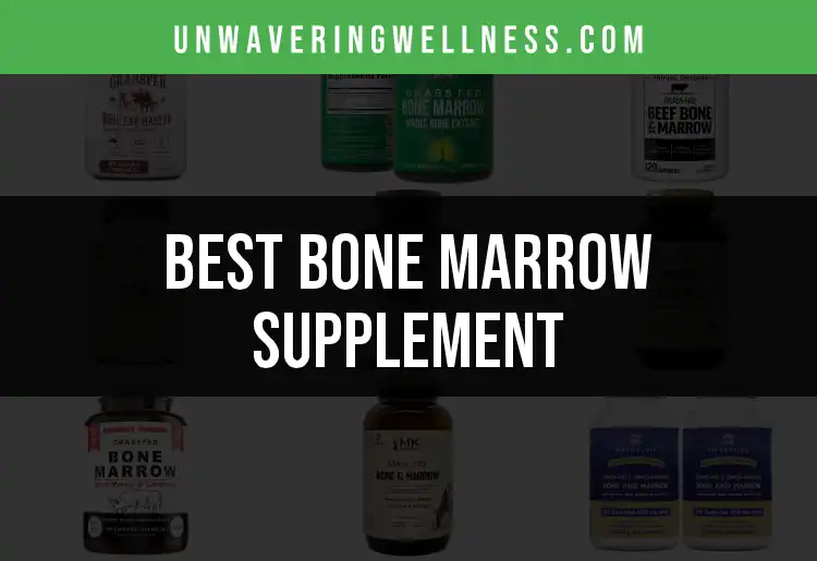 13 Bone Marrow Supplements to Boost Your Health featured