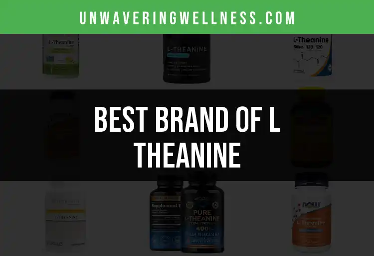 12 Top Brands of L Theanine for Calm Focus featured