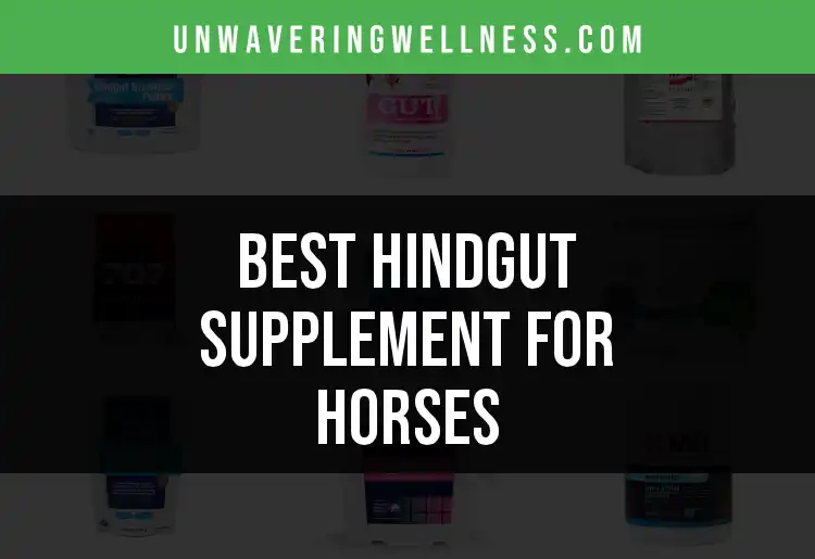 15 Hindgut Supplements for Horses You Can Trust featured