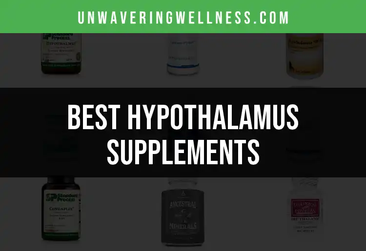 13 Hypothalamus Supplements to Boost Your Brain featured