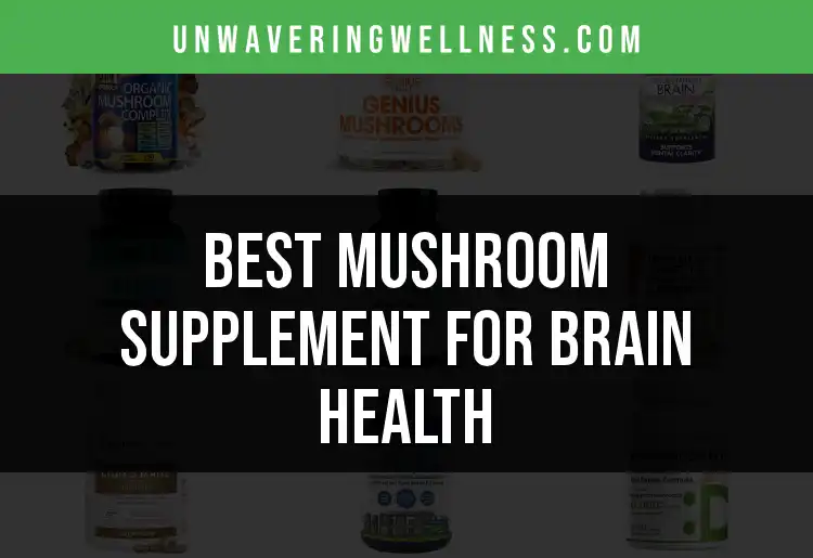 19 Mushroom Supplements for Brain Health You Need to Try featured