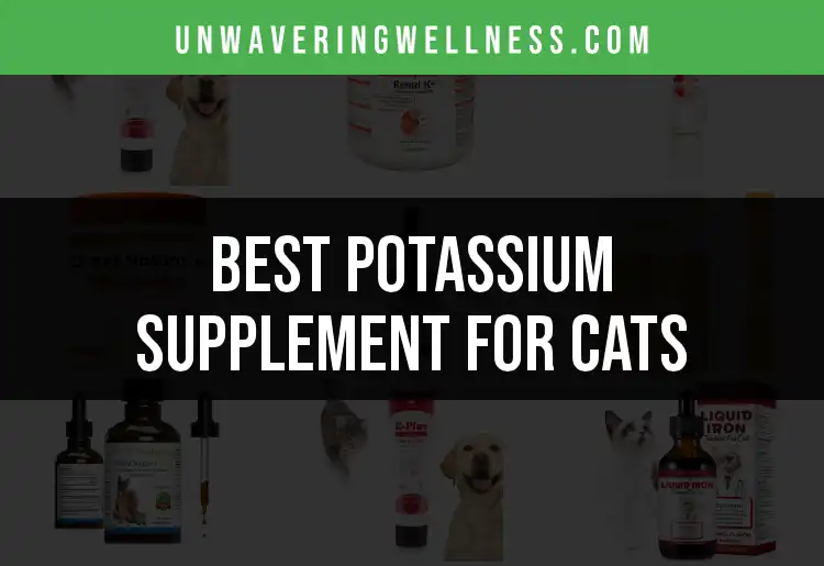 18 Best Potassium Supplements for Cats featured