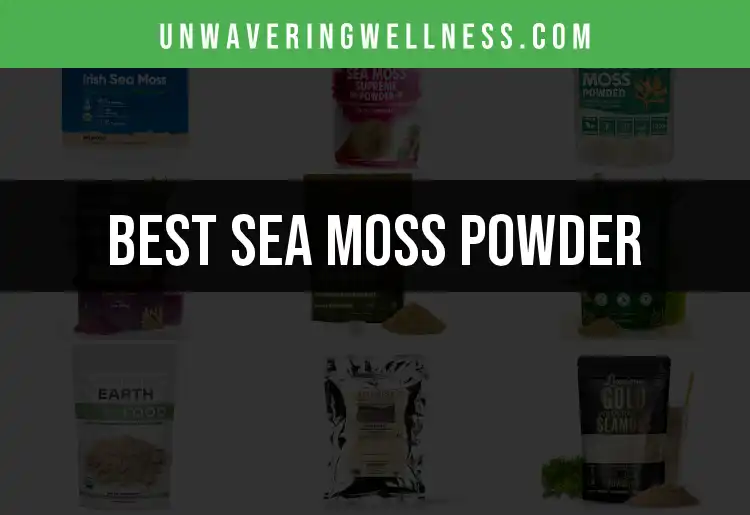 12 Best Sea Moss Powder Picks for Boosting Your Wellness
