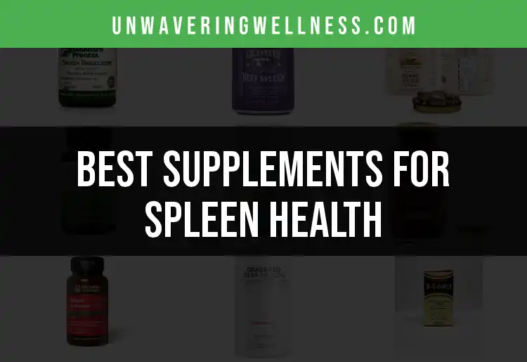 15 Top Supplements for Spleen Health to Boost Wellbeing